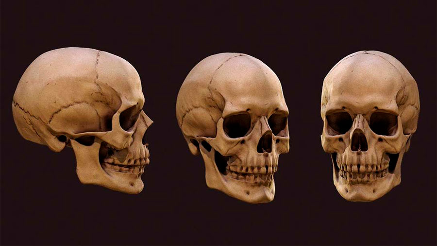 Un agujero en el&nbsp;asiento